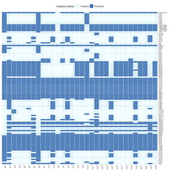 Profiles of virulence genes for each strain in this study.