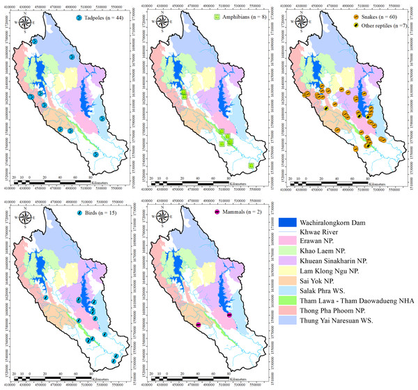 Study area and sampling points for carcasses and tadpoles in western Thailand.