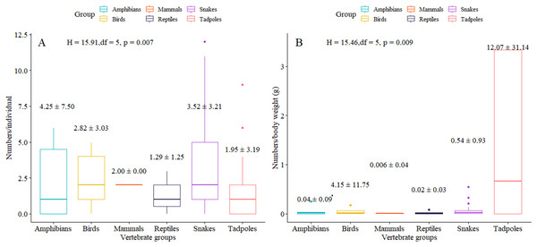 Average number of microplastics (± standard deviation) found in each animal group by individual specimen (A) and by body weight of specimen (B).