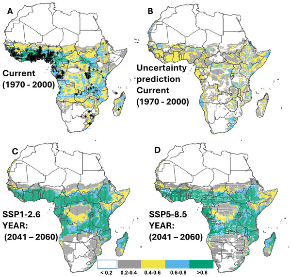 Current and future suitable habitats for cassava in Africa.