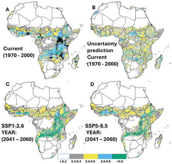 Current and future suitable habitats for whitefly (Bemisia tabaci) in Africa.