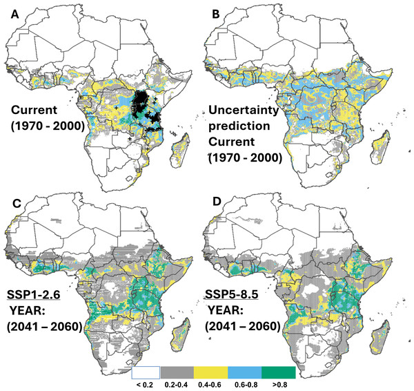 Current and future suitable habitat for cassava brown streak disease (CBSD) in Africa.