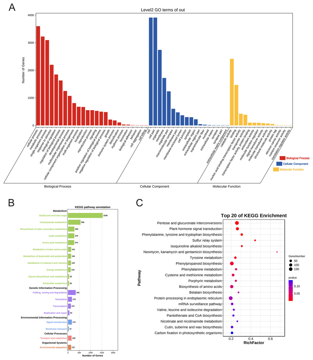 Genome-wide identification and characterization of the AP2/ERF gene ...