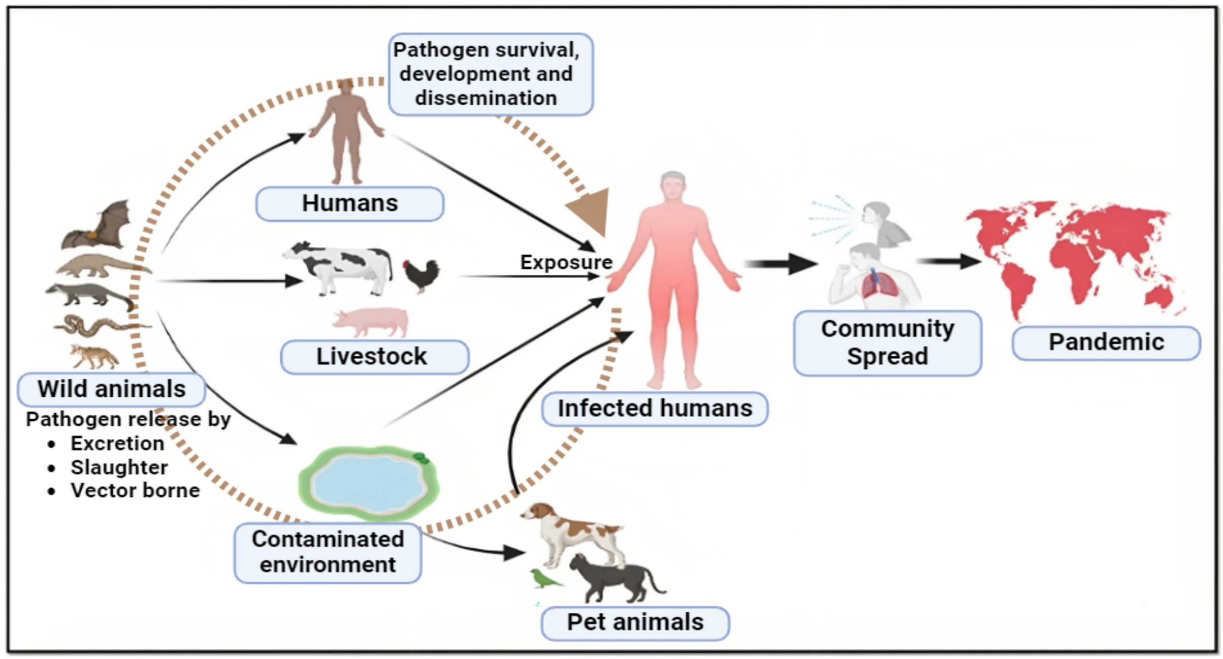 Zoonotic spillover and viral mutations from low and middle-income ...