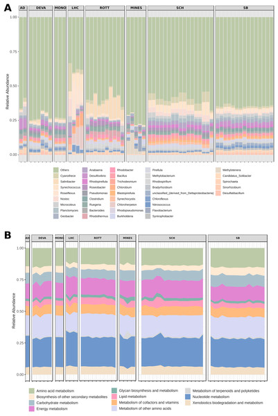 Relative abundance of genus and functional categories from microbial mats.