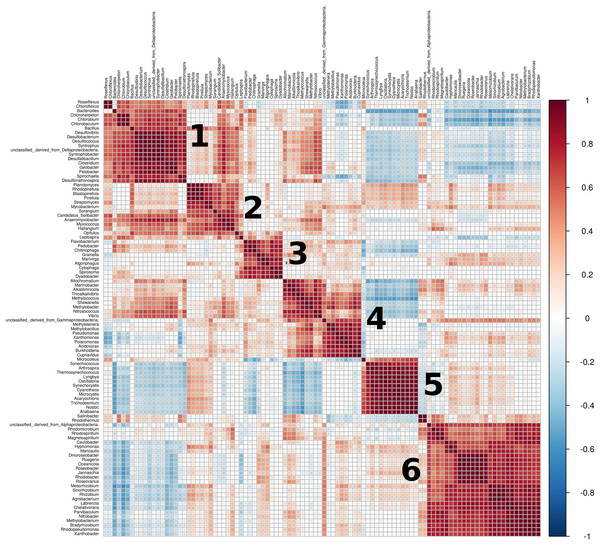 Correlation plot of relative abundances (taxa).