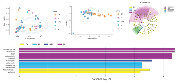 Comparison of differences in species diversity of vaginal microbiota between cervical cancer group and other groups.