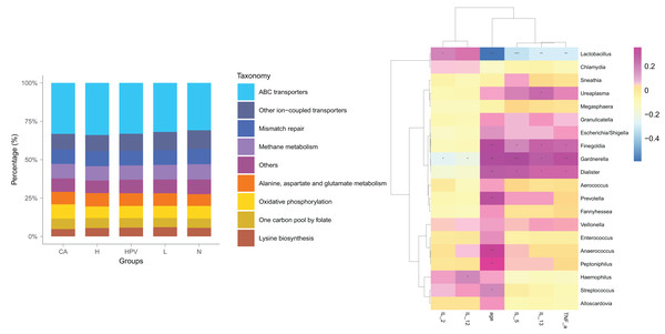 Biological function analysis of vaginal micromicrobiota between different groups.