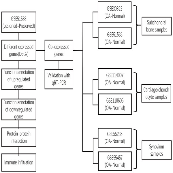 Flow chart depicting the OA gene expression analysis study process.