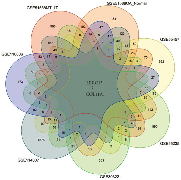 Screening for coexpressed genes in multiple tissues revealed LRRC15 and Col11A1.