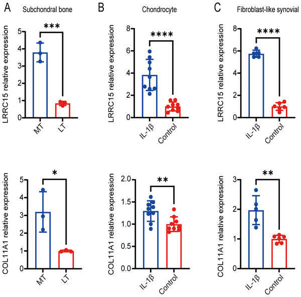 Validation of coexpressed genes in multiple tissues via qRT–PCR.