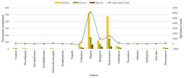 Taxonomic assignment for 17 orders of four classes of Phylum Arthropoda.