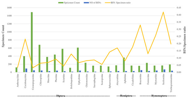 BIN: specimen ratio and BIN diversity for 21 insect families (of three orders) with more than 20 BINs each.