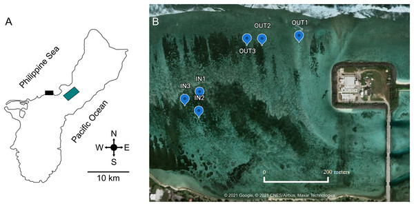 Location of West Hagåtña Bay (black rectangle) in Guam (A) and sites targeted for sampling (B).