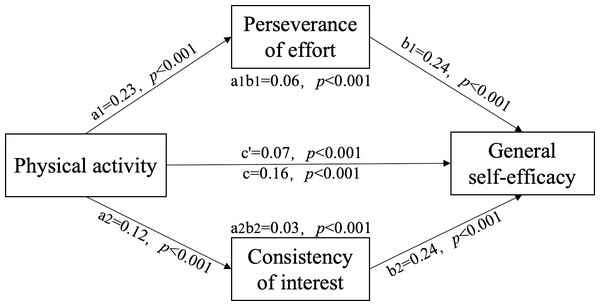 Direct and indirect effects of PA on self-efficacy.