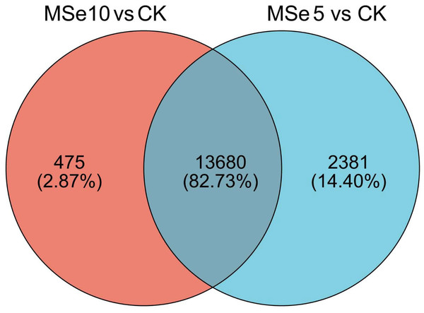 Venn diagram of shared DEGs between the different selenium treatment groups MSe5 vs. CK and MSe10 vs. CK.