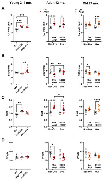 Effects of an Angiotensin II (AngII) on various left ventricle echocardiography measurements.