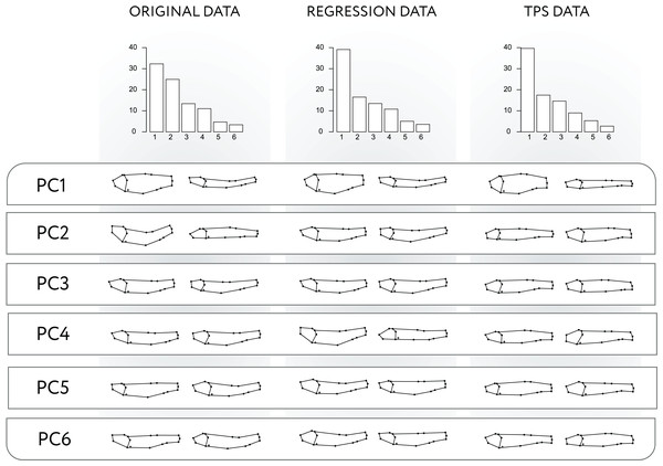 PCA applied to original, Regression-unbending, and TPS-unbending data.