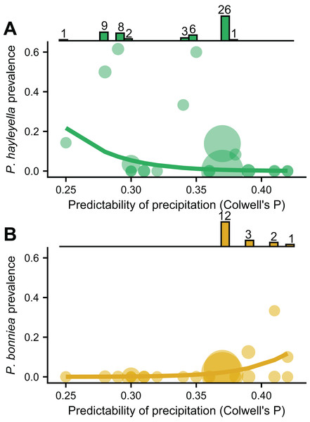 P. hayleyella and P. bonniea are differently affected by and inhabit different areas of precipitation predictability.