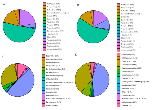 Gut bacterial composition of S. frugiperda and S. litura.