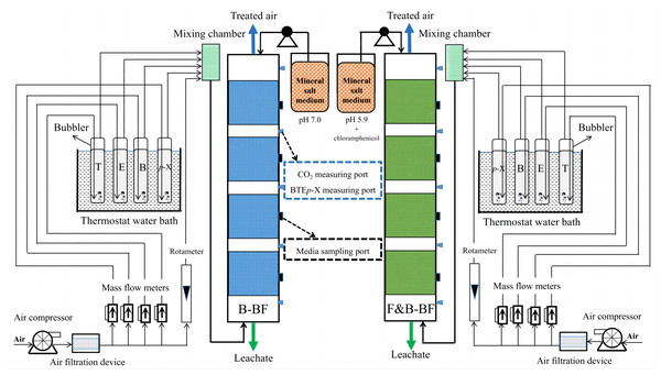 Schematic diagram of the B-BF and F&B-BF for BTEp-X waste gas treatment.