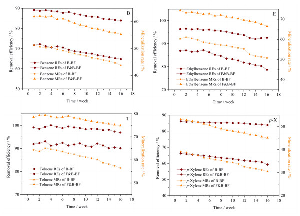 Comparison of the performance in BTEp-X removal between the B-BF and F&B-BF.