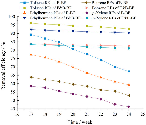 Comparison of the stability of long-term operation in BTEp-X removal between the B-BF and F&B-BF.
