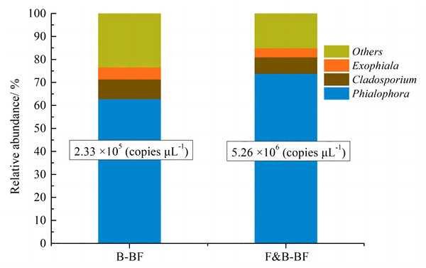 Comparison of the fungal community structure and relative abundance at the genus level between the B-BF and F&B-BF.