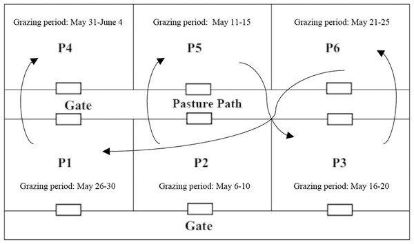 Rotational grazing experiment area.