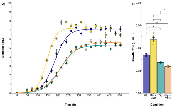 Growth kinetics and specific growth rate values (μ) for P. ostreatus fermentations.