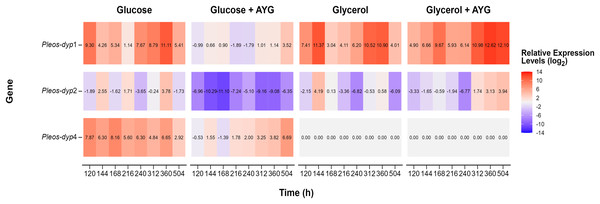 Heat map of global gene expression.