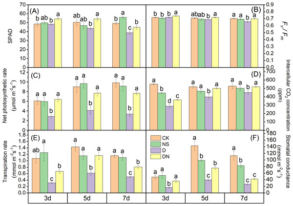 Photosynthetic capacity of maize seedlings under different treatments.