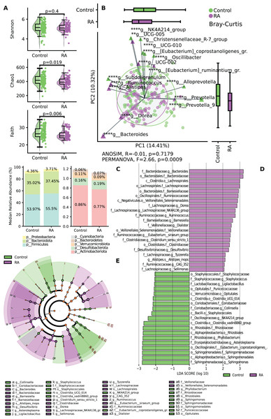 Variation in microbial diversity within the gut microbiome and relative abundance of both study groups.