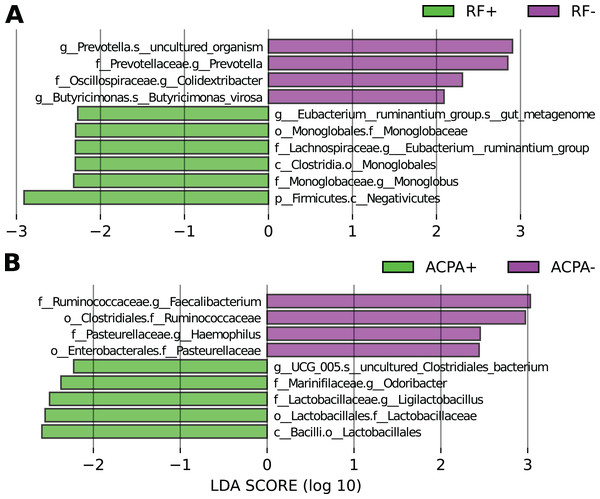 Differences in the taxonomic composition in individuals with RA based on their antibody status.