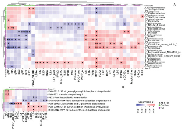 Heatmaps representing the correlation analysis.