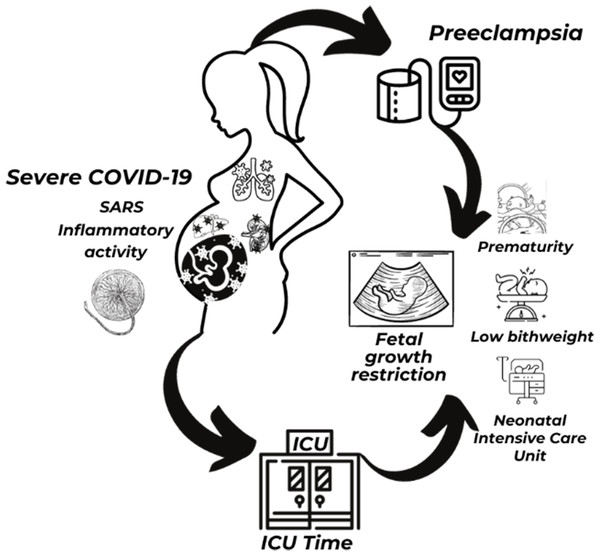 Illustration of COVID-19, preeclampsia, maternal and perinatal outcomes.