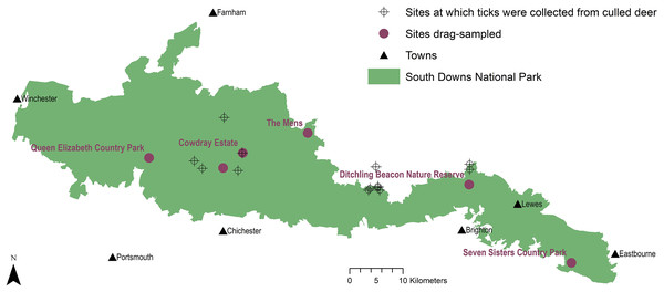 Tick sample collection sites in the South Downs National Park.