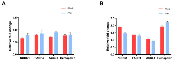 Quantitative results of iTRAQ and PRM for NDRG1, FABP4, ACSL1, and hemopexin.