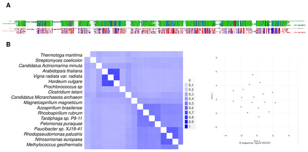 A sequence comparison of the analyzed m-Pases is shown in Fig. 9.