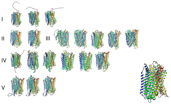 The predicted structure for the examples of m-PPases is analyzed in Fig. 9.