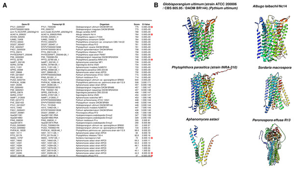 M-PPases are found in fungi.