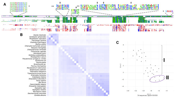 The family I and II PPases have conserved sequences but can be differentiated into three subfamilies.