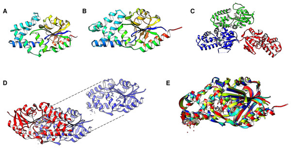 Family III PPases display highly conserved folding.