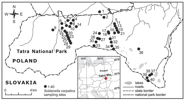 Location of the 40 elevational sites sampled for Soldanella carpatica in the Polish Tatra Mts., Western Carpathians.