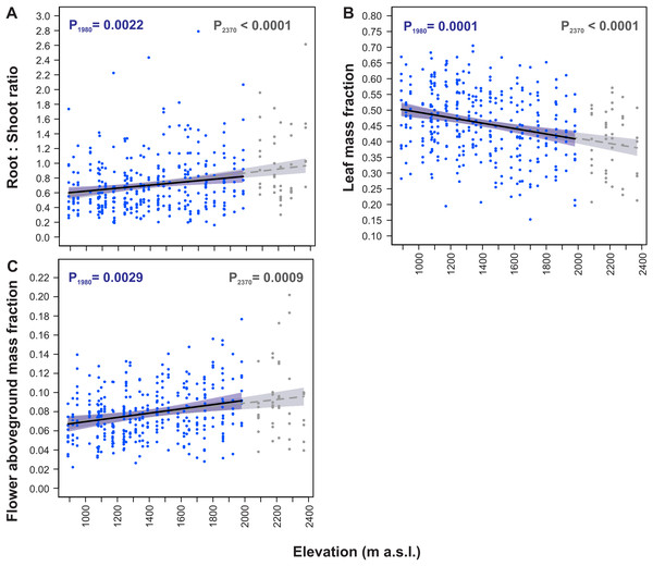 Elevational variation in Soldanella carpatica dry mass allocation traits.