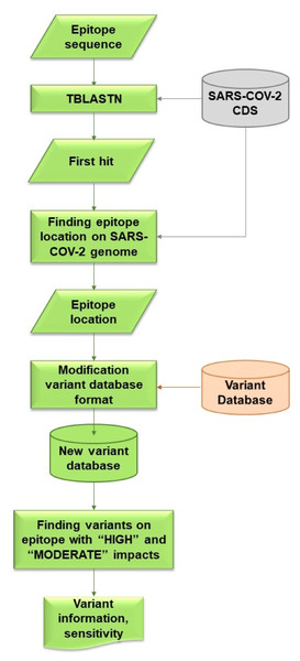 Flowchart describing processes and steps of VOE.