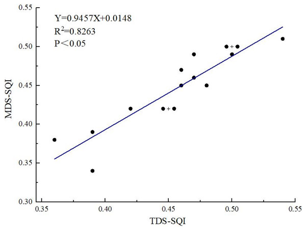 Linear relationship between the SQI values of the TDS and MDS.
