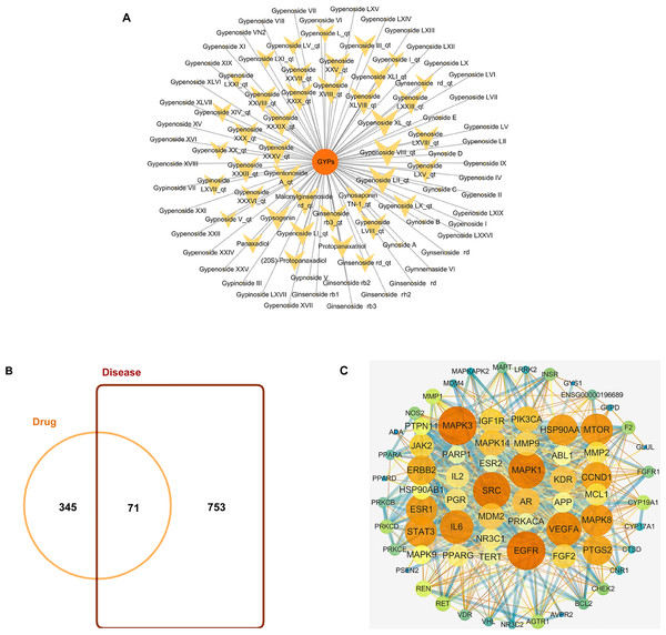 Bioactive compounds in GYPs, and Venn diagram of the intersecting drug-disease targets and PPI networks.