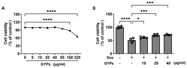 GYPs decrease Dox-induced cytotoxicity in H9c2 rat cardiomyocytes.