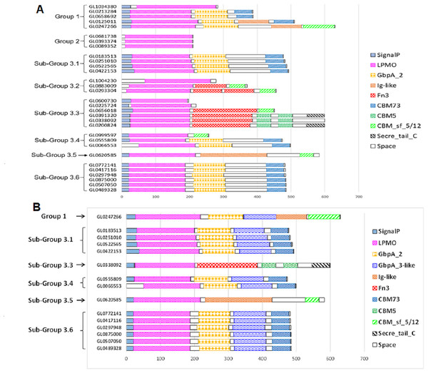 Prediction of functional domains of 31 putative LPMOs.